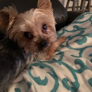 Meet your Posher, Amy